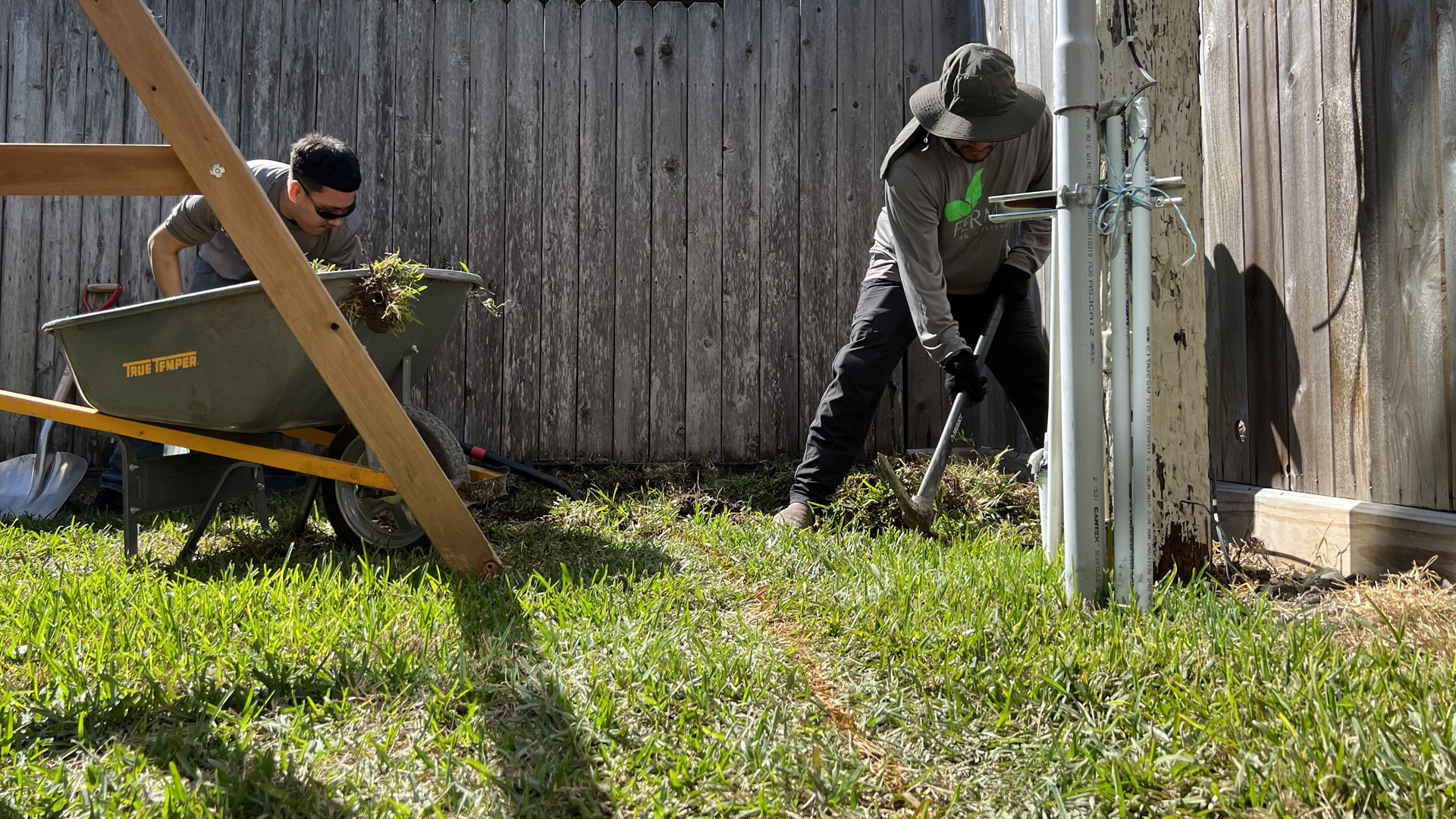 Houston Montrose Landscaping