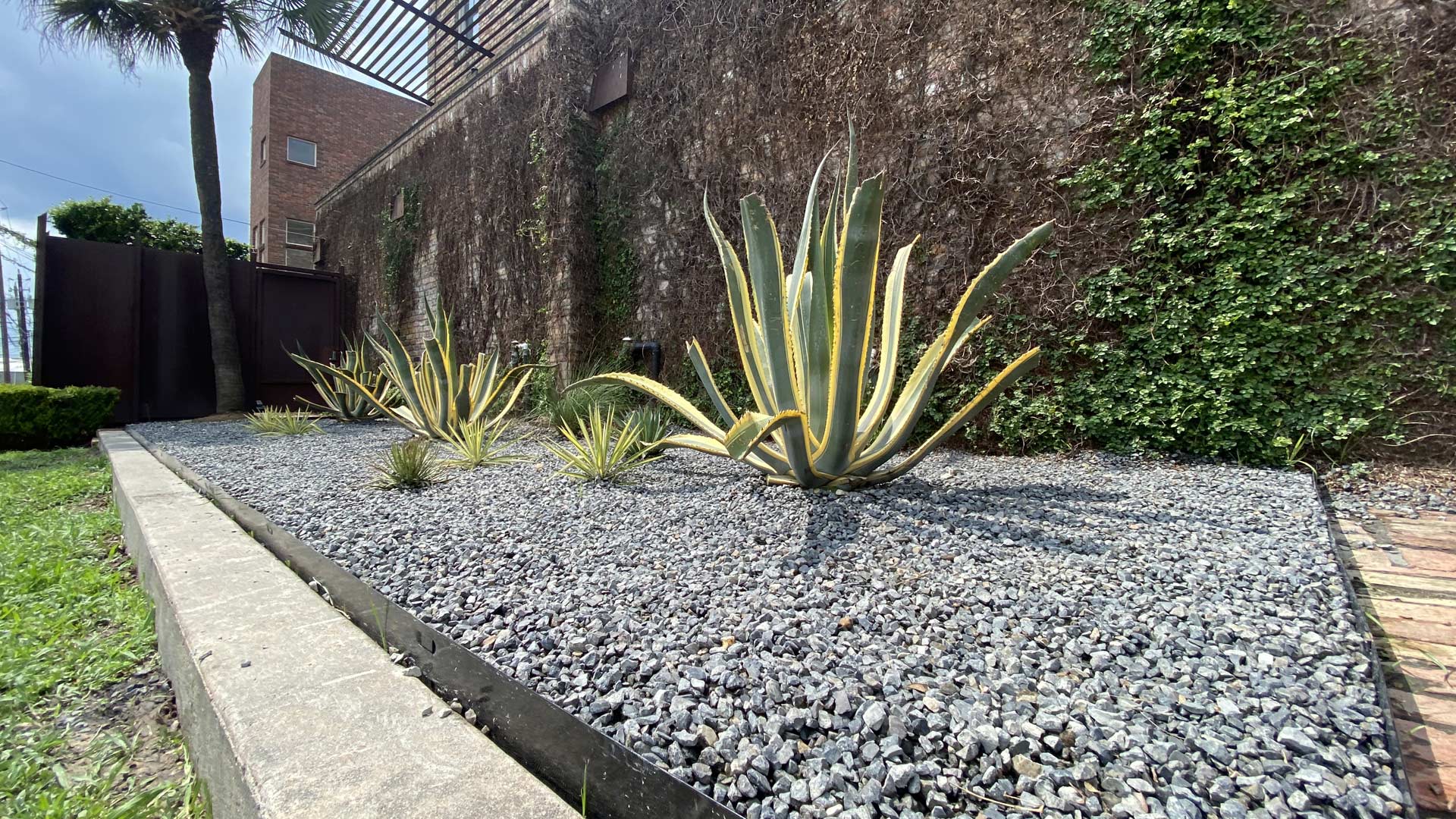 Downtown Houston Landscaping