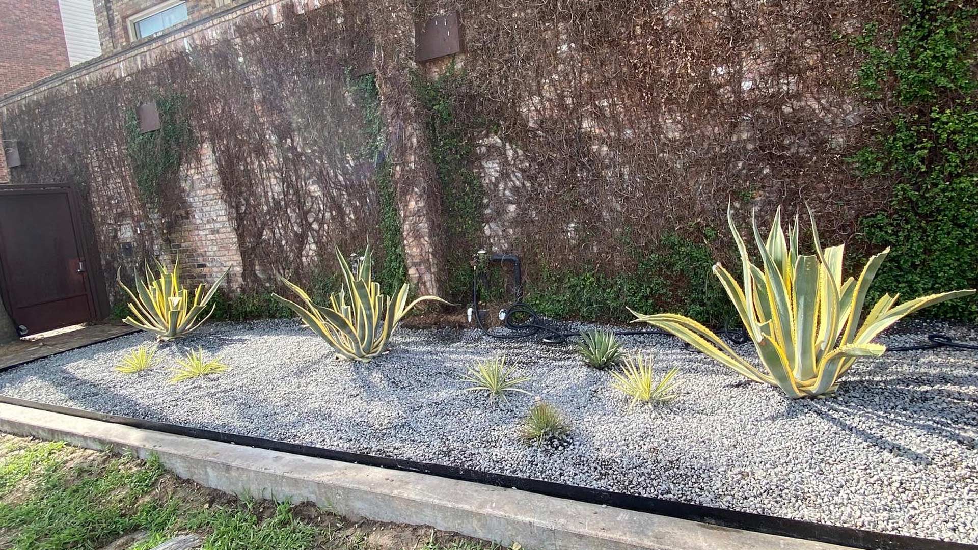 Downtown Houston Landscaping