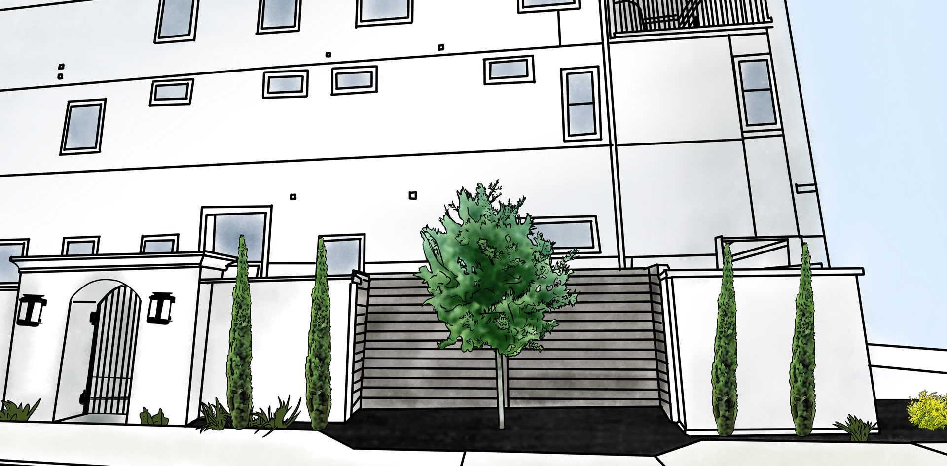 Live Oak Tree Planting Houston