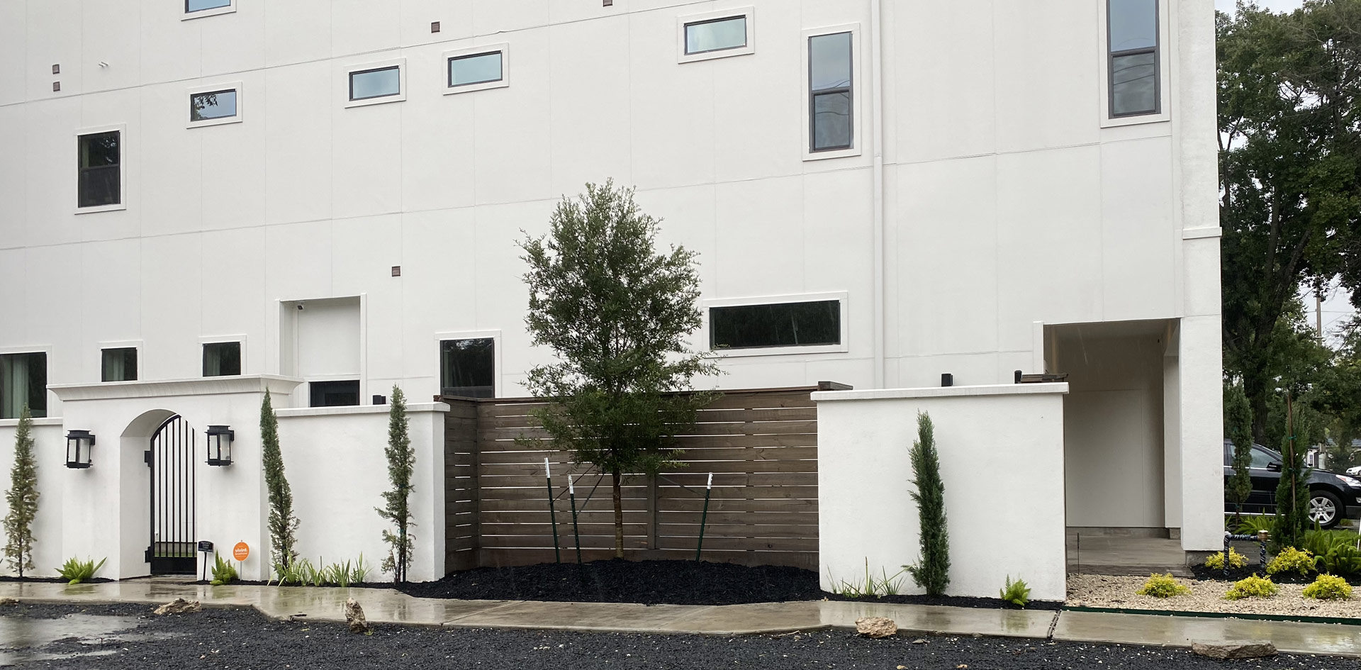 Live Oak Tree Planting Houston