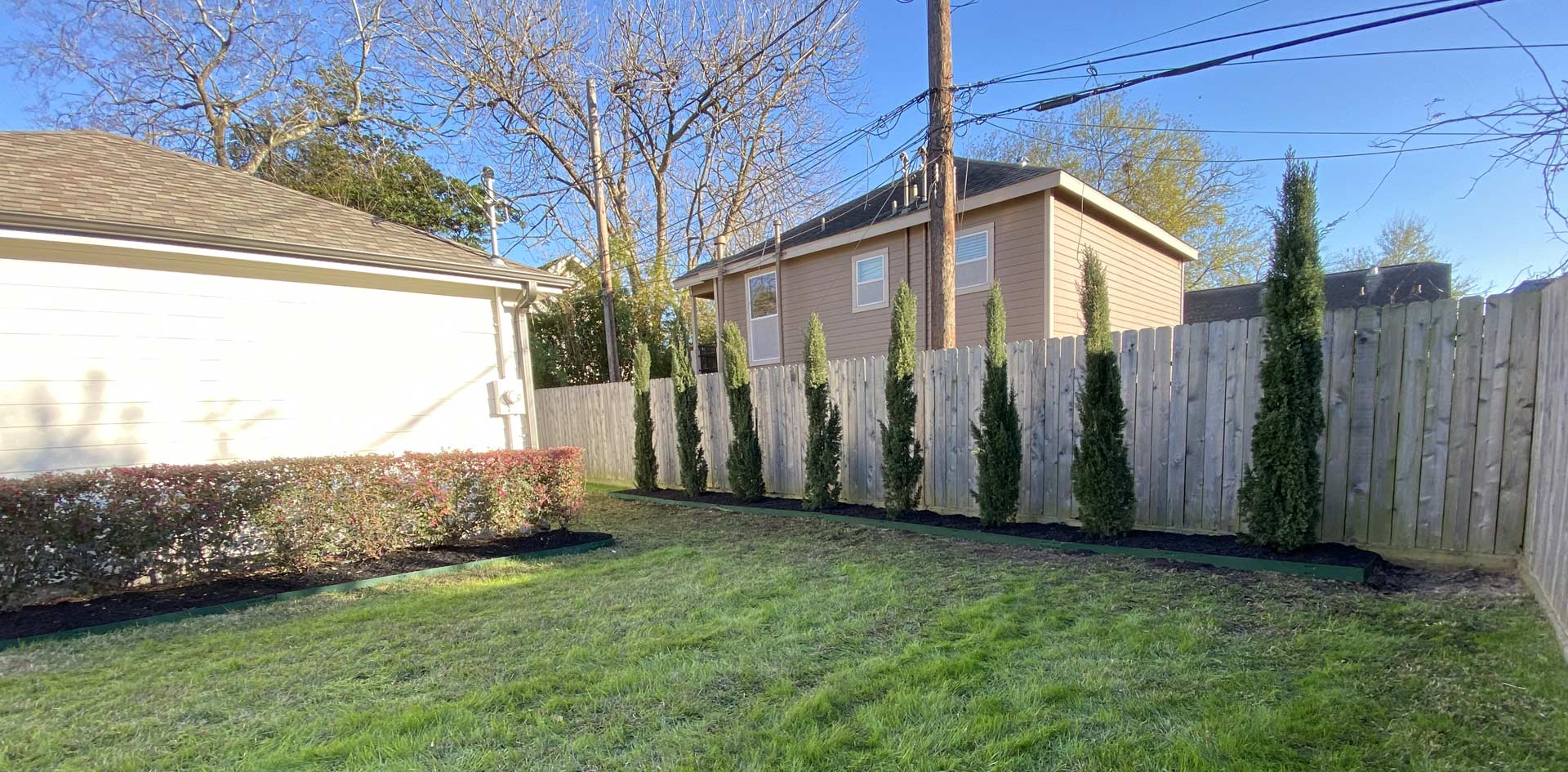 Heights Italian Cypress Trees Planting