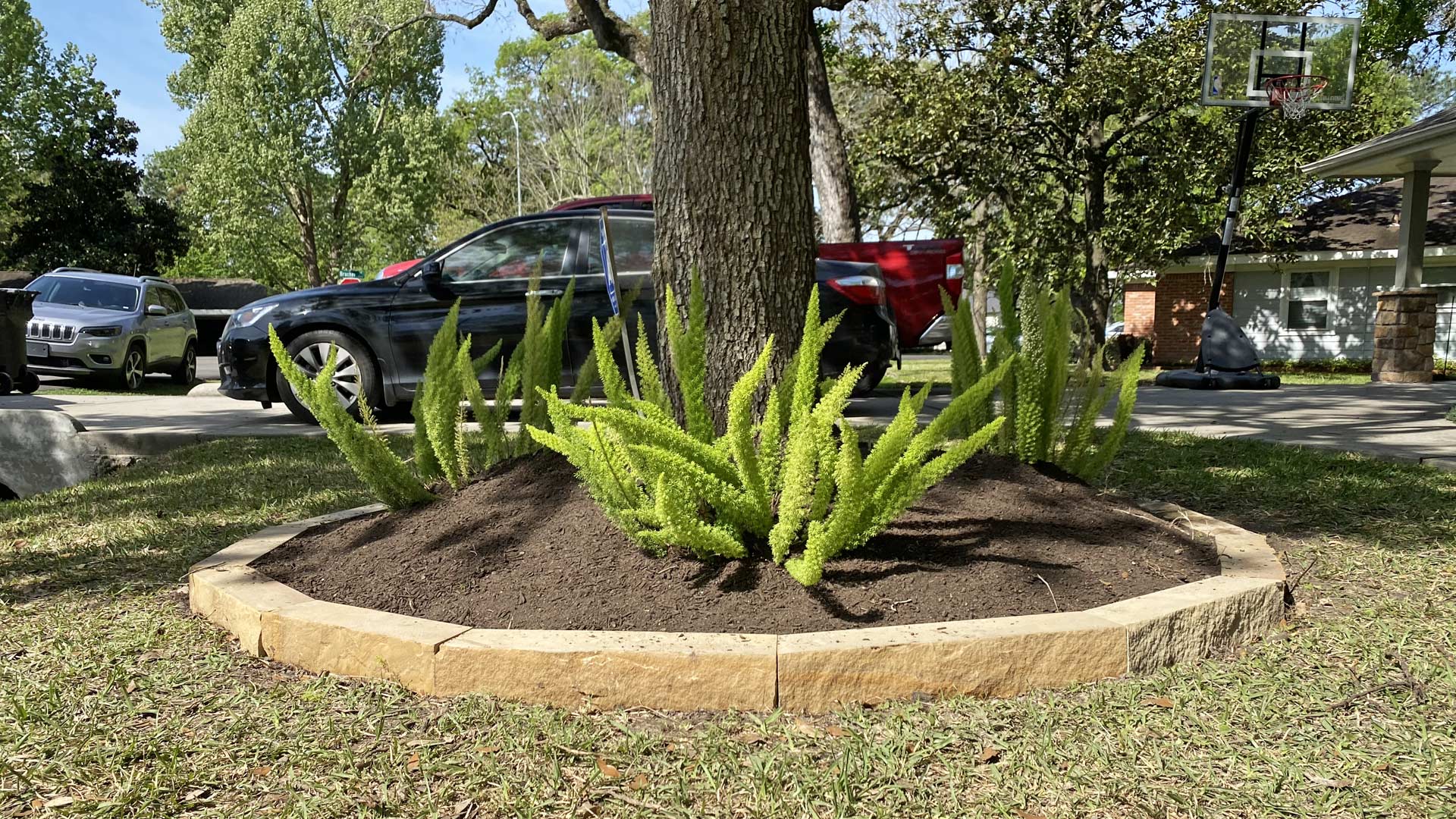 Houston Landscape Design