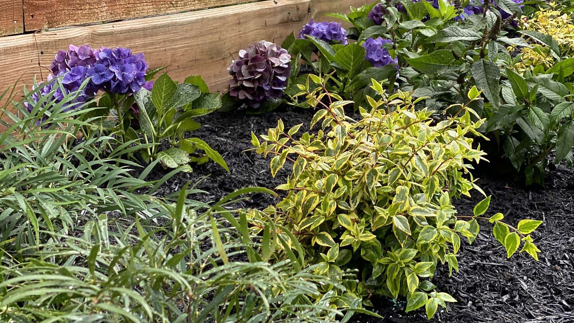 Houston Heights Flowerbed Design