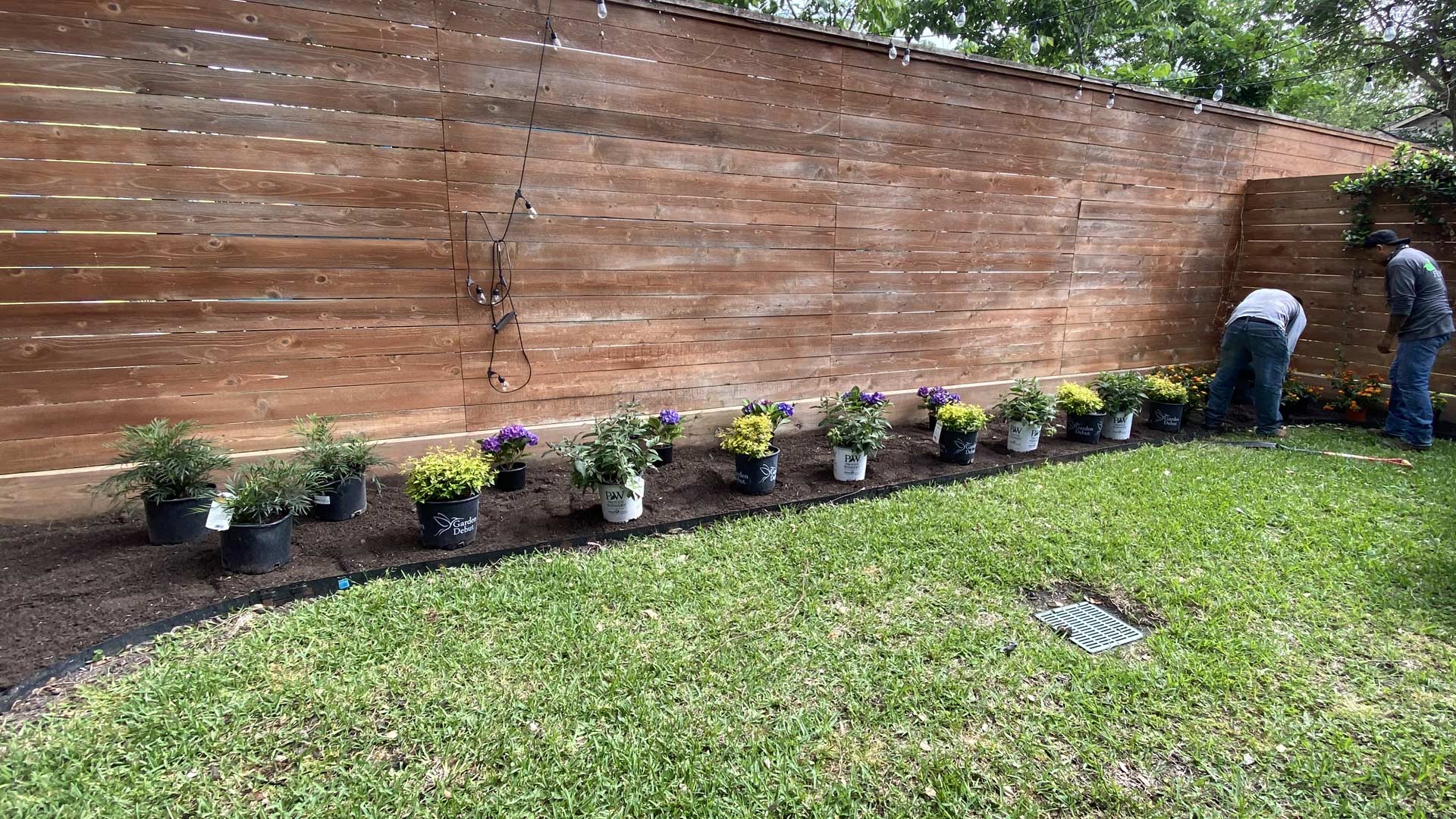 Houston Heights Flowerbed Design