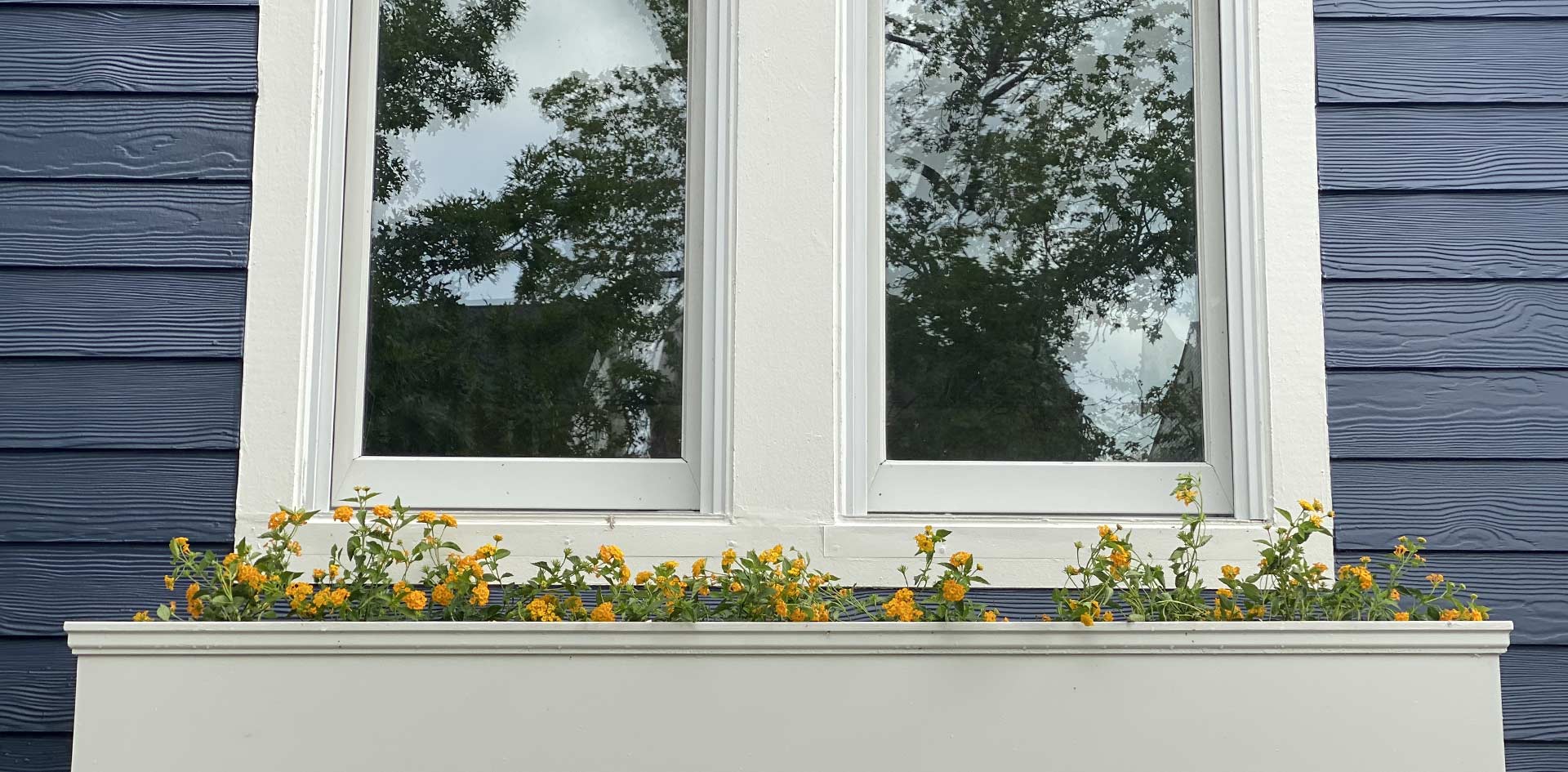 Heights Landscape Enhancement