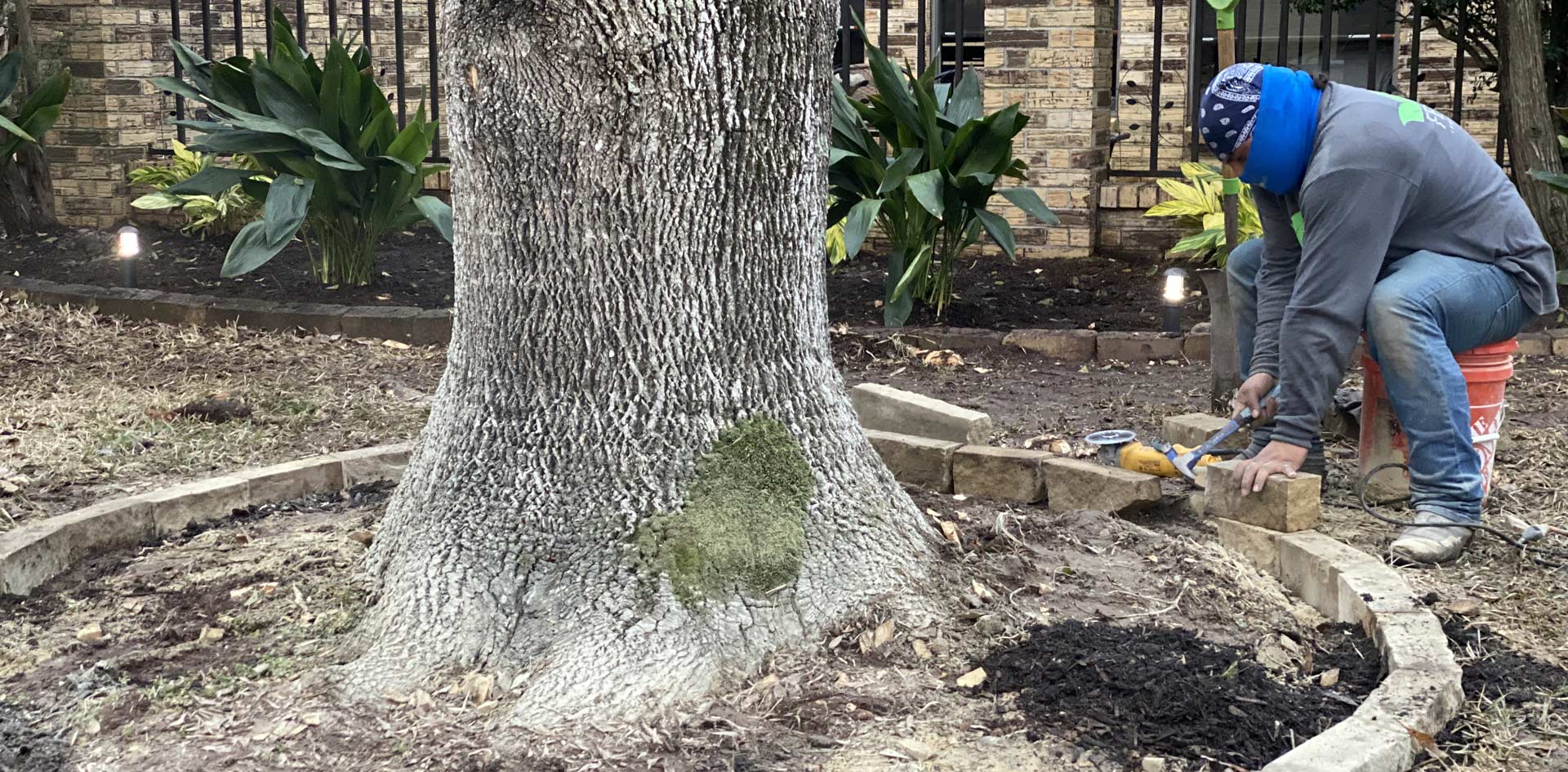 Houston Landscape Design