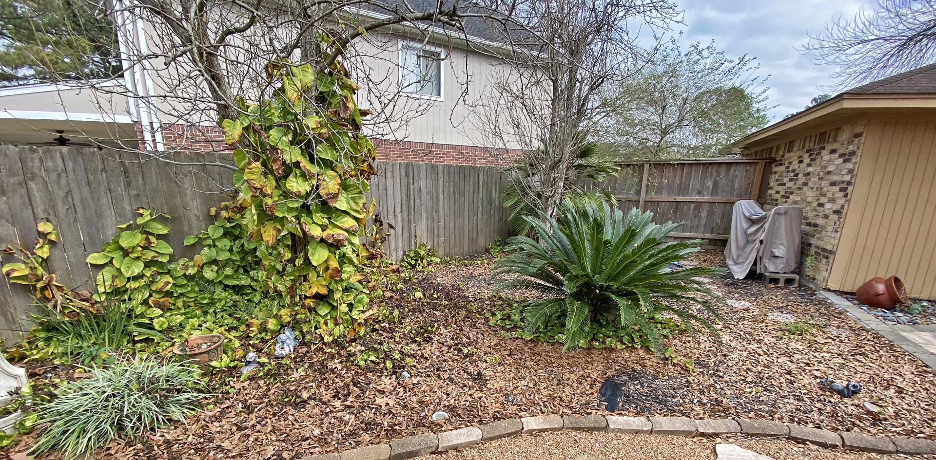 Houston Landscape Design