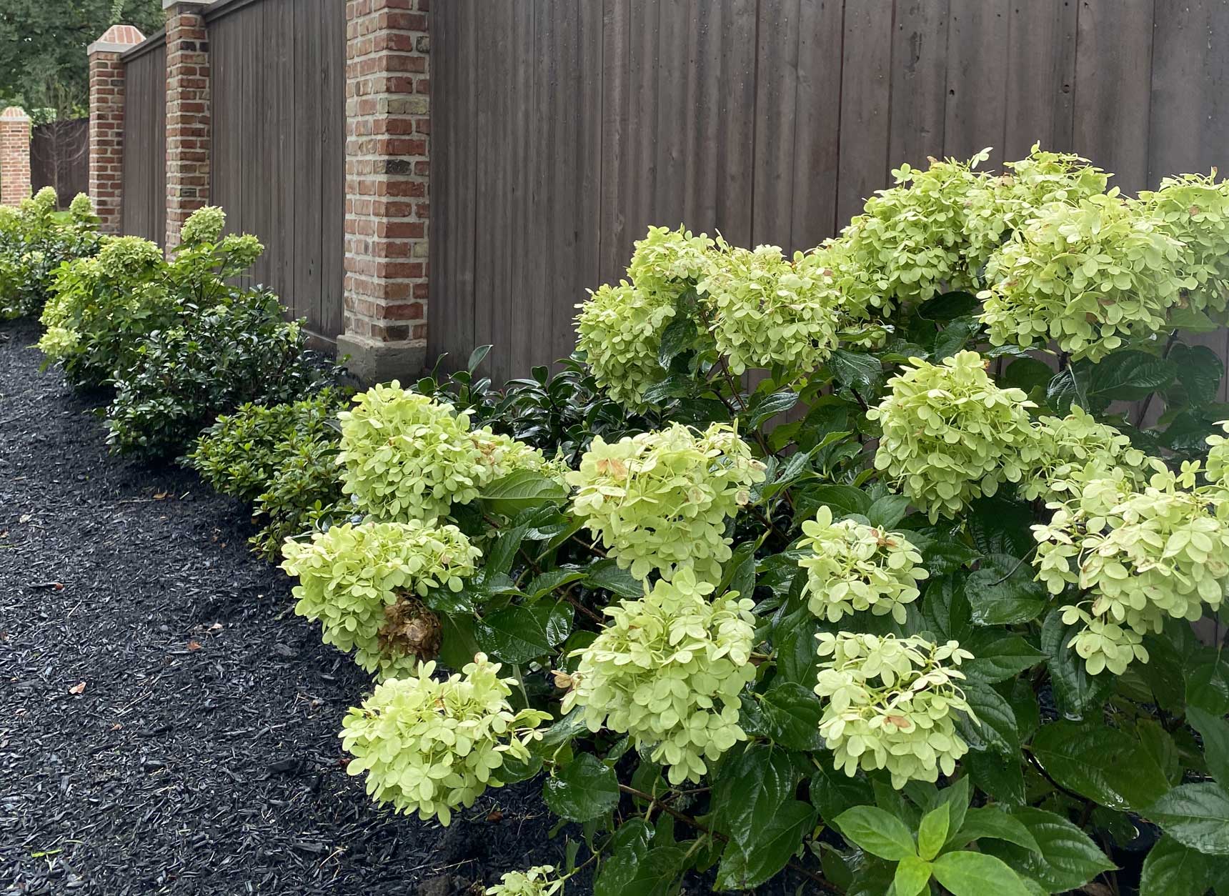 Houston Landscape Design Services