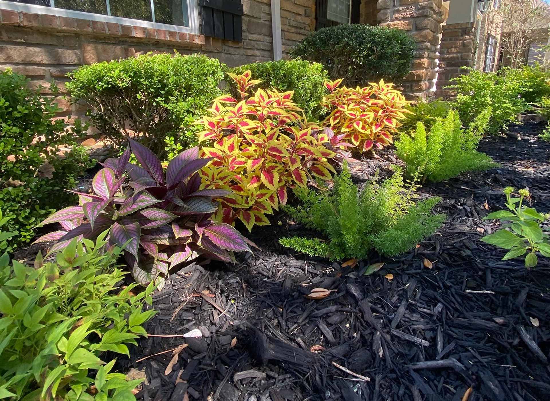 Houston Landscape Design