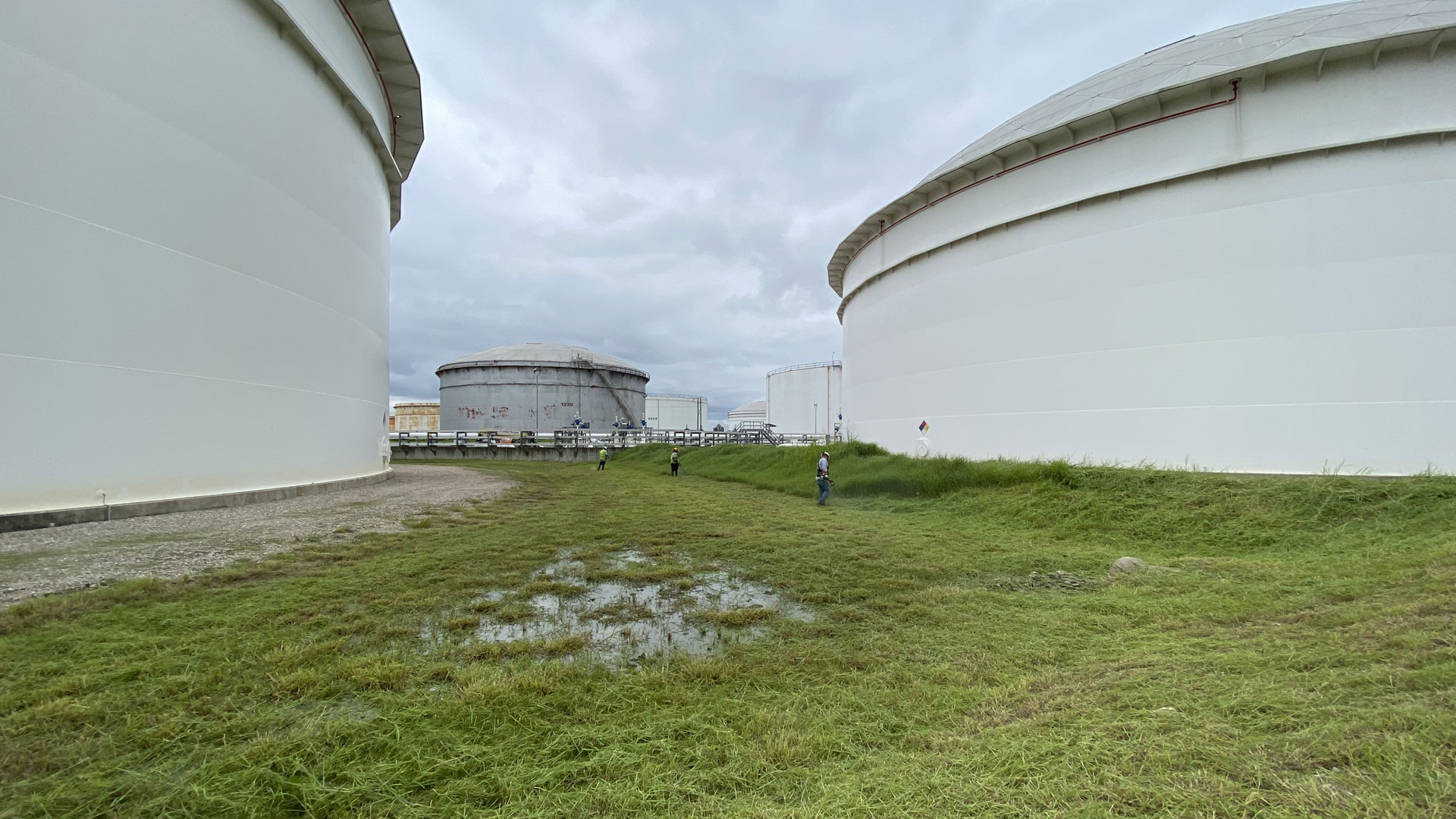 Commercial Landscape Maintenance 