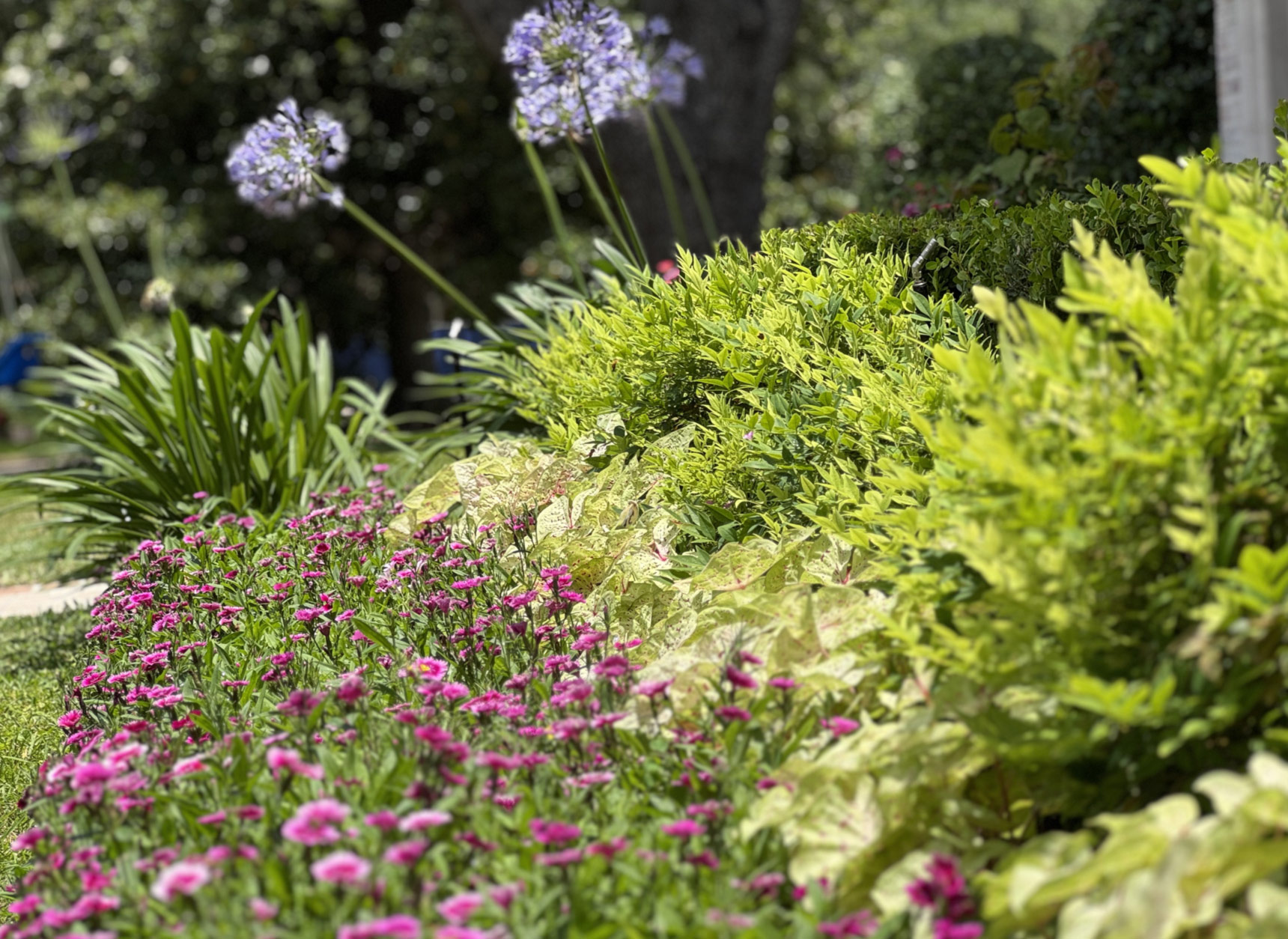 Houston Planting Services