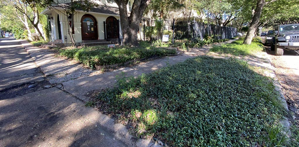 Houston Landscape Construction