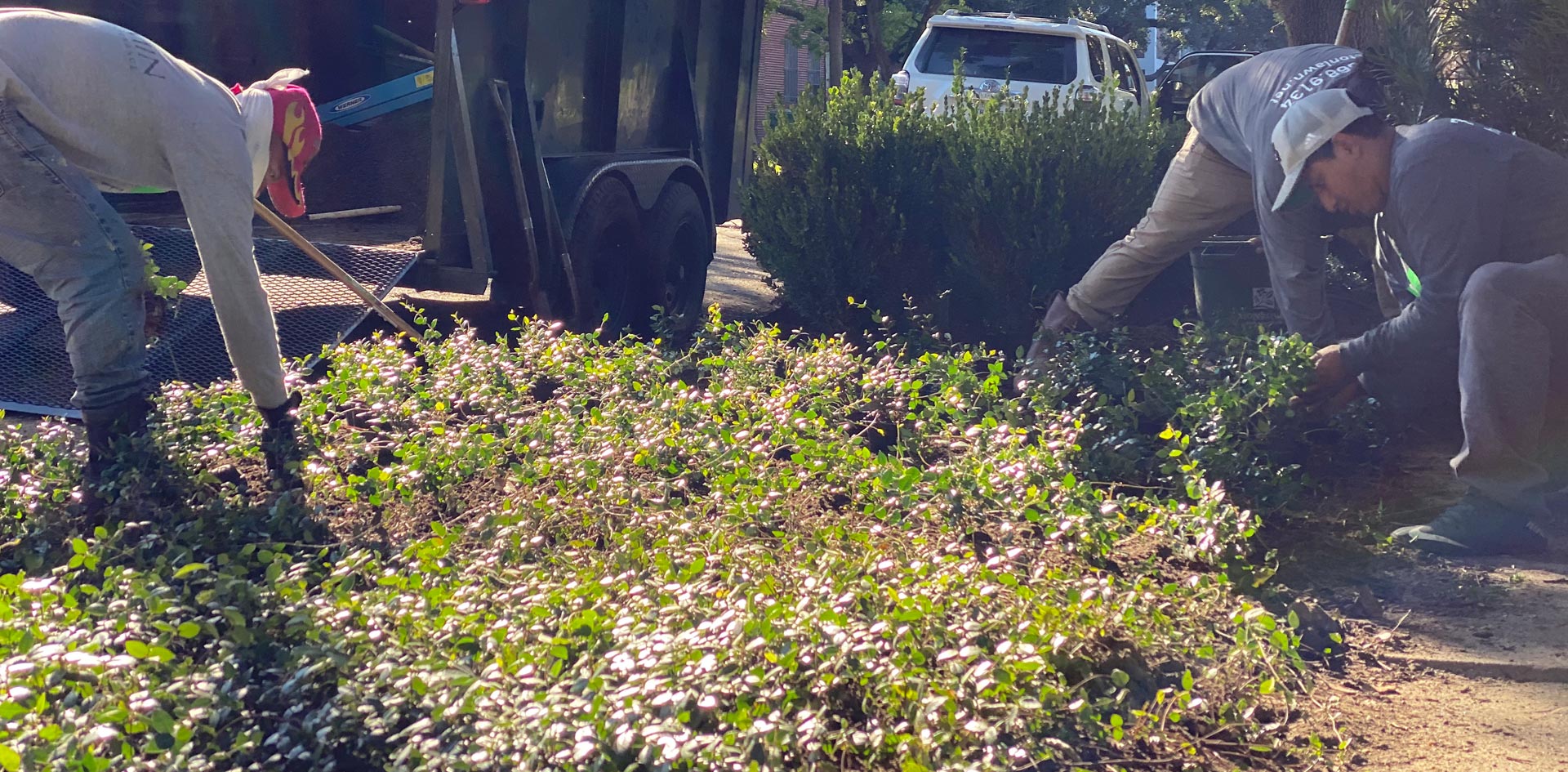 Houston Landscape Construction