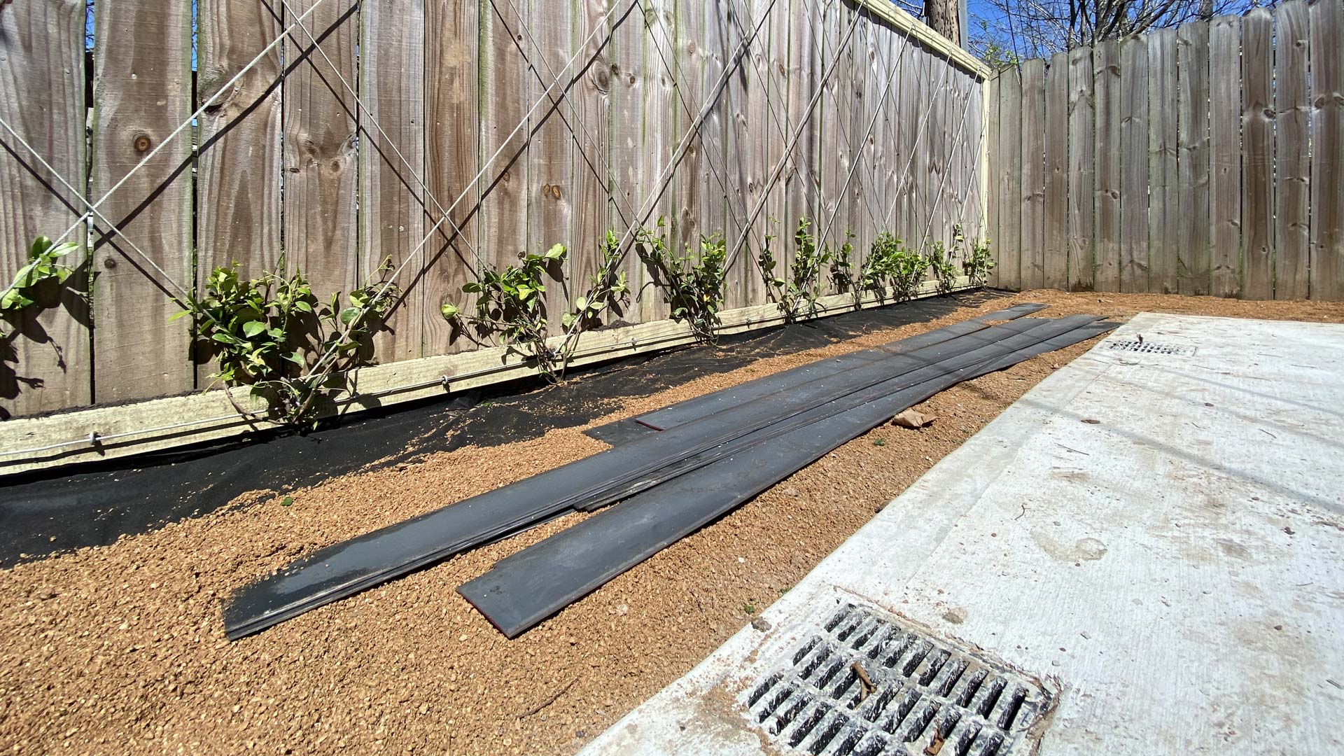 Houston Landscape Design