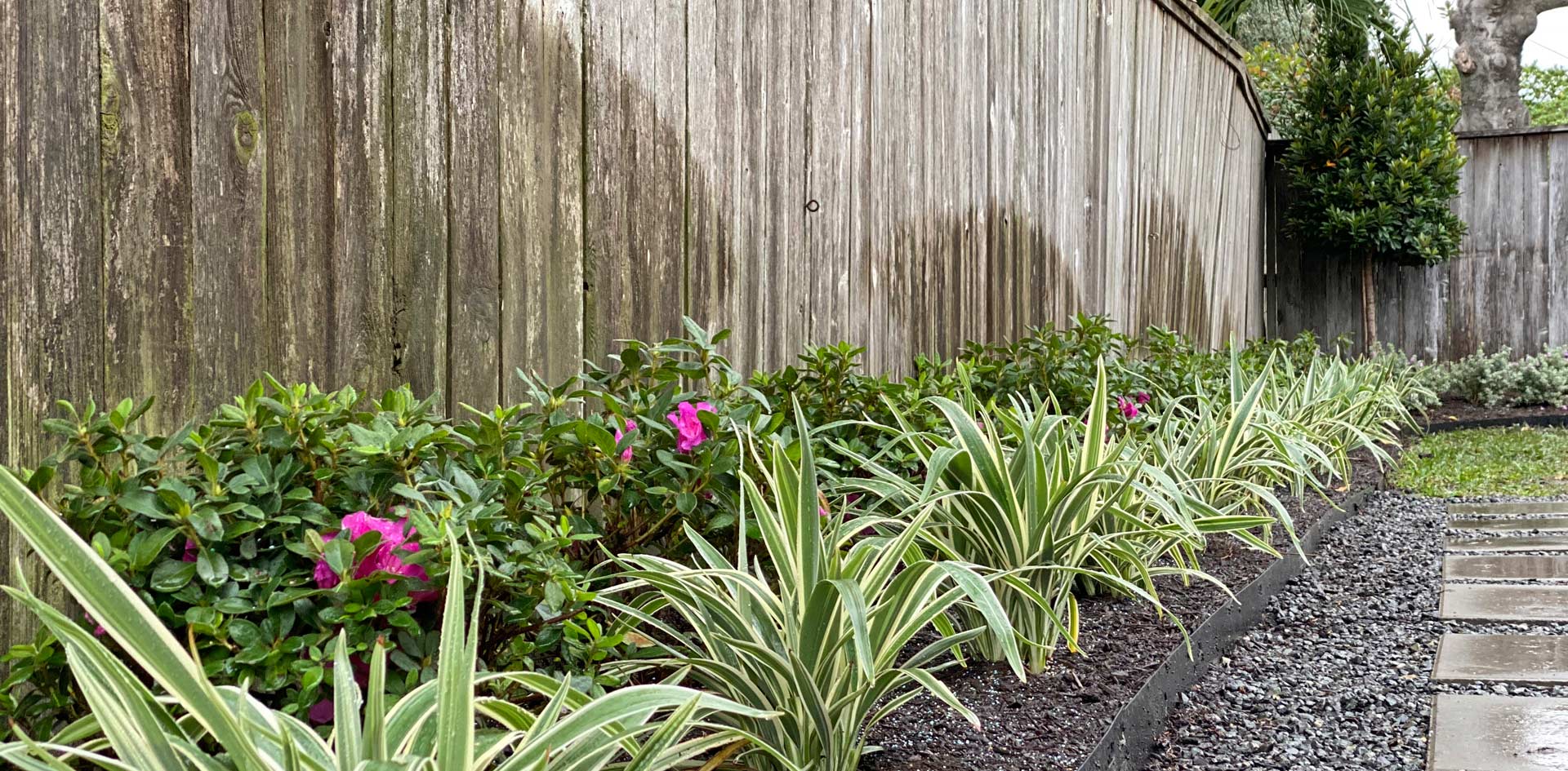 Houston Landscape Design