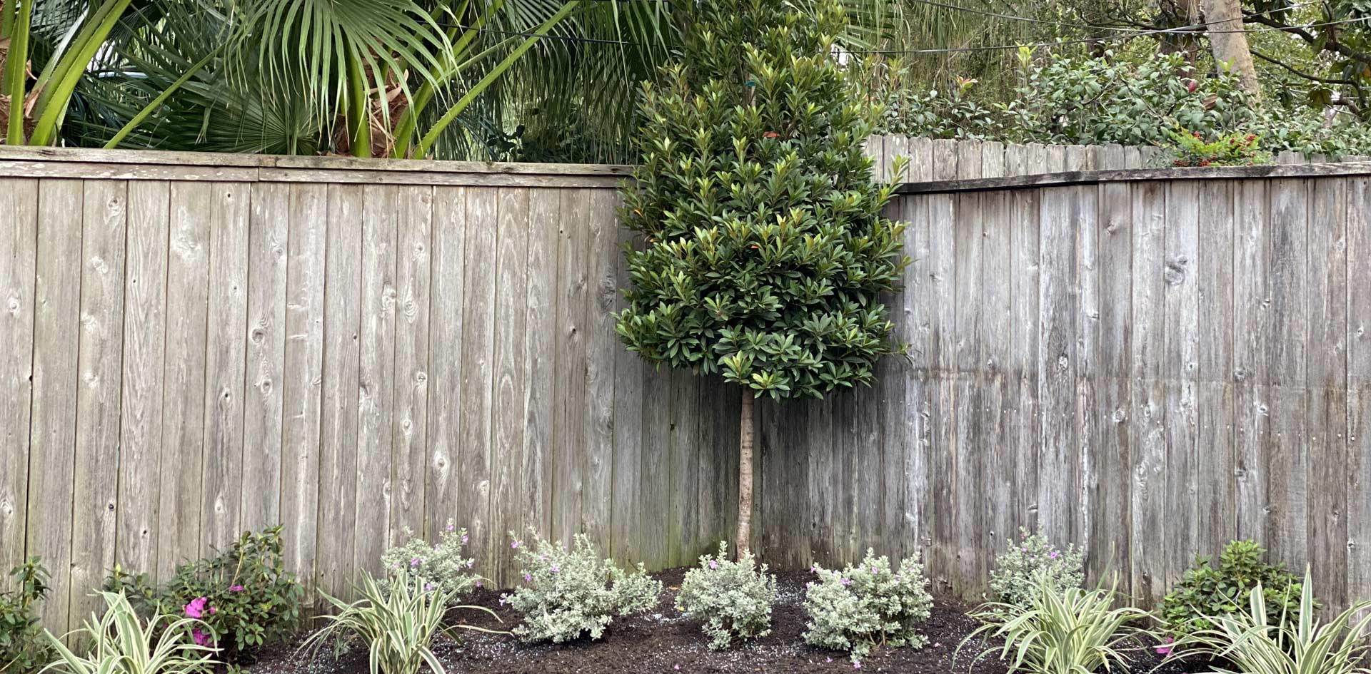 Houston Landscape Design