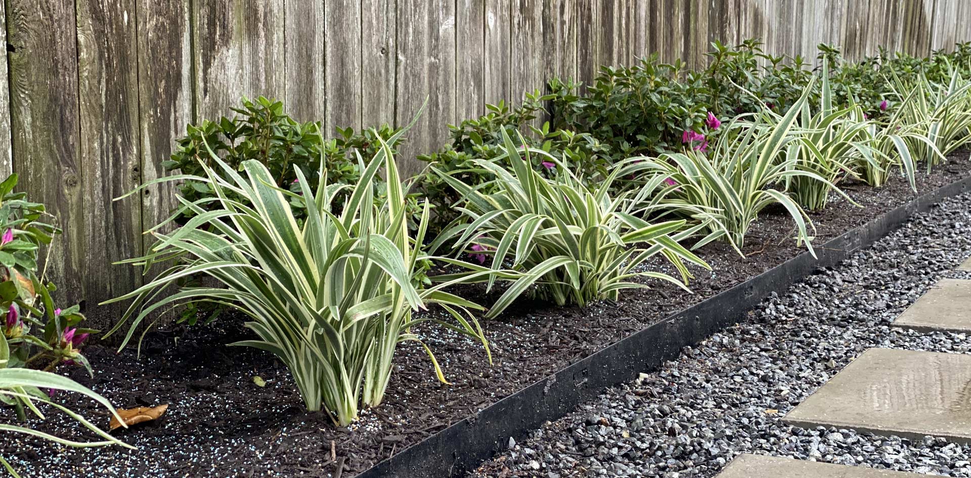 Houston Landscape Design