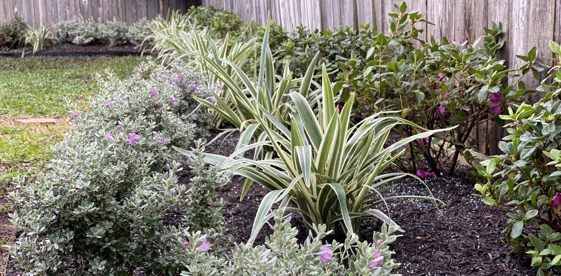 Houston Landscape Design