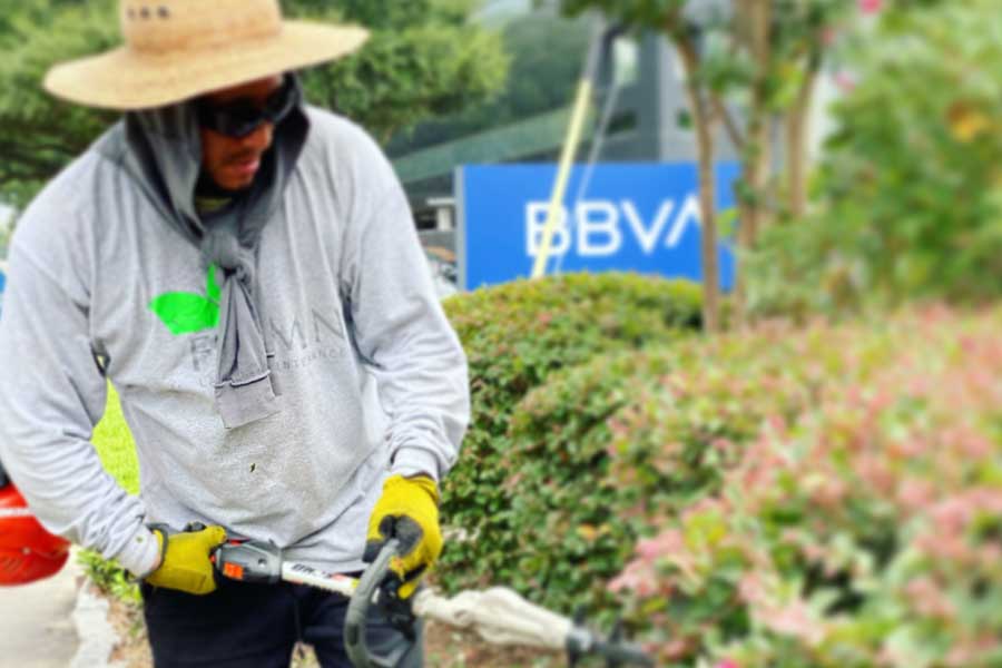 comercial lawn maintenance