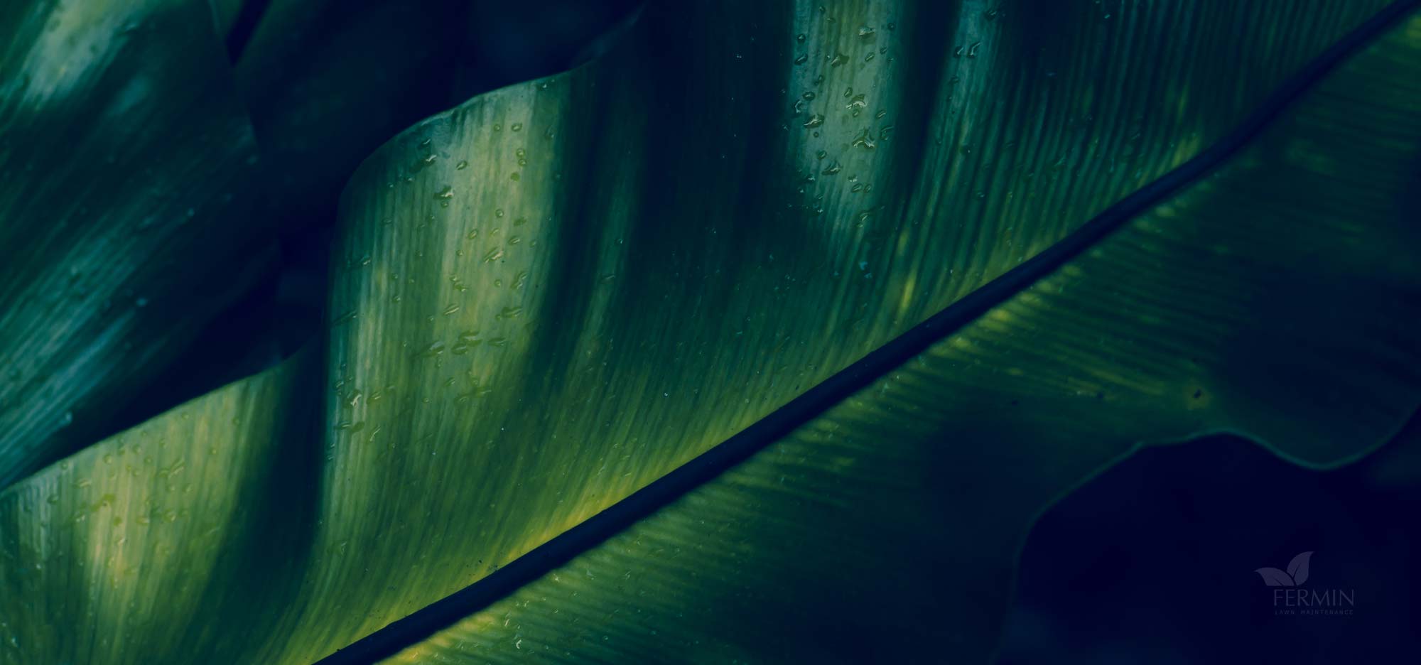 Fermin Lawn Maintenance