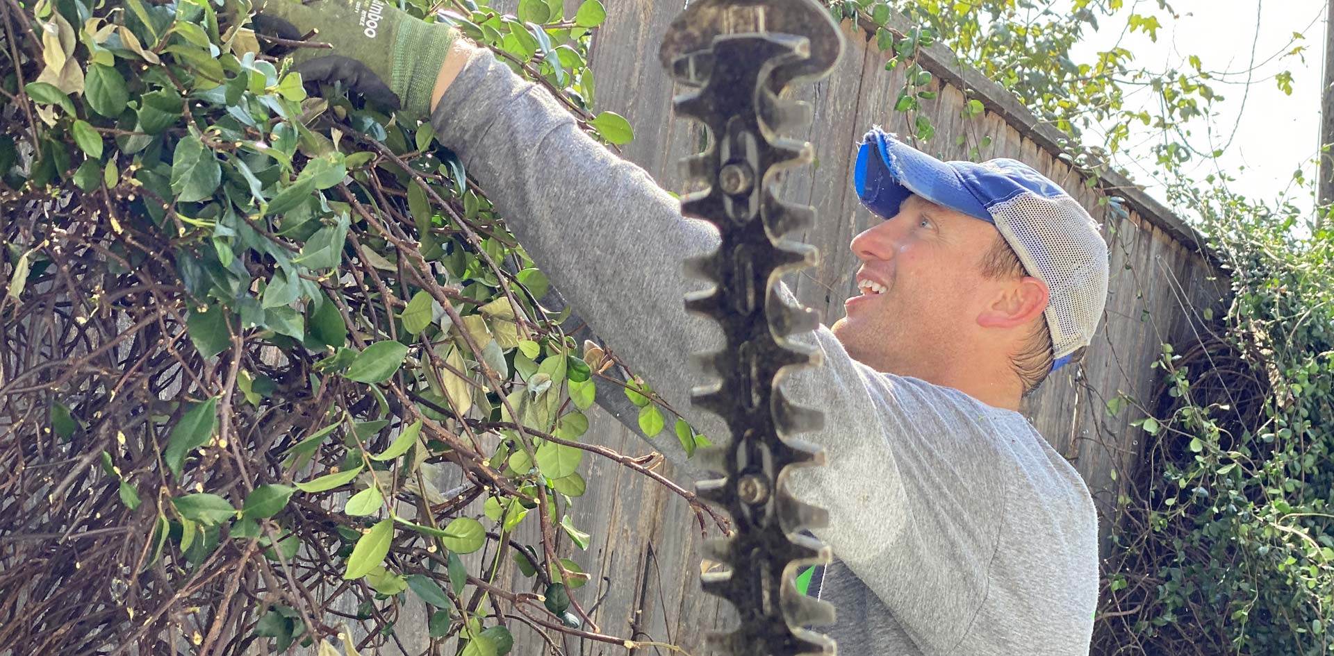 Houston Landscape Enhcancement in Houston