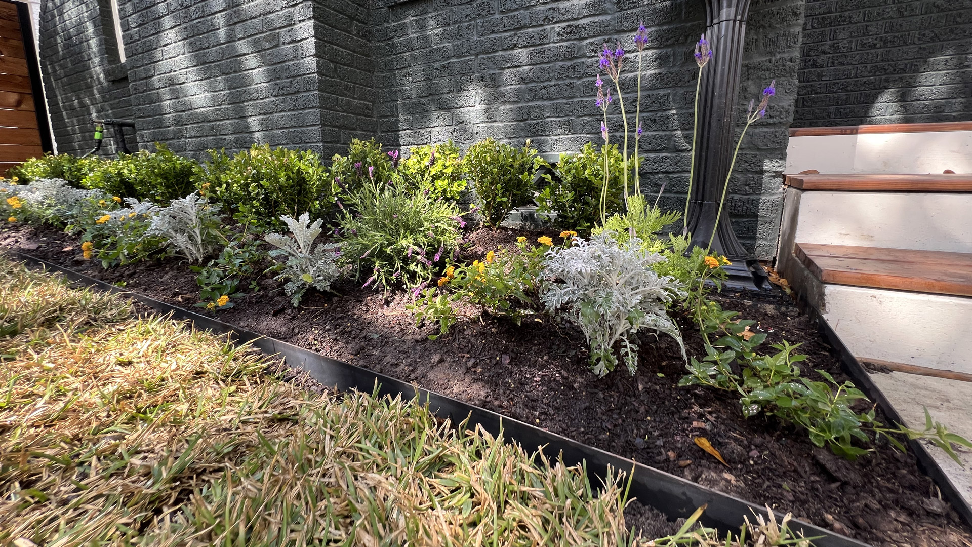 Houston Landscape Design