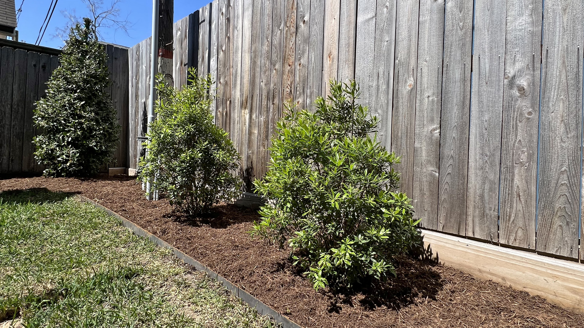 Houston Montrose Landscaping