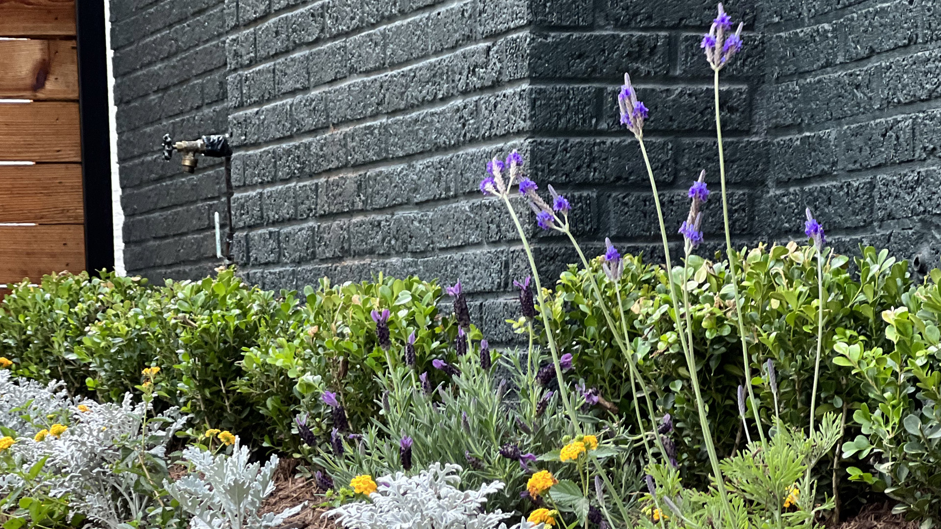 Houston Montrose Landscaping