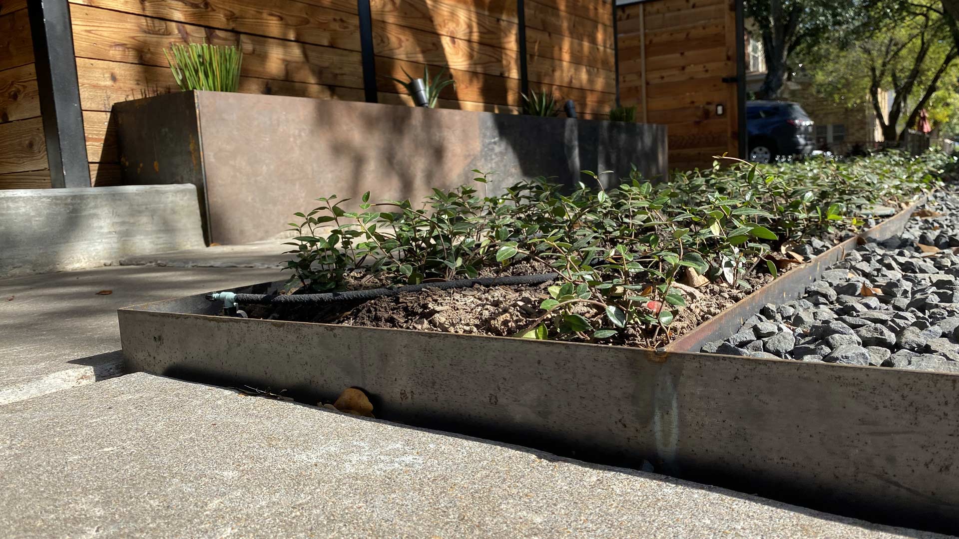 Houston Montrose Landscaping