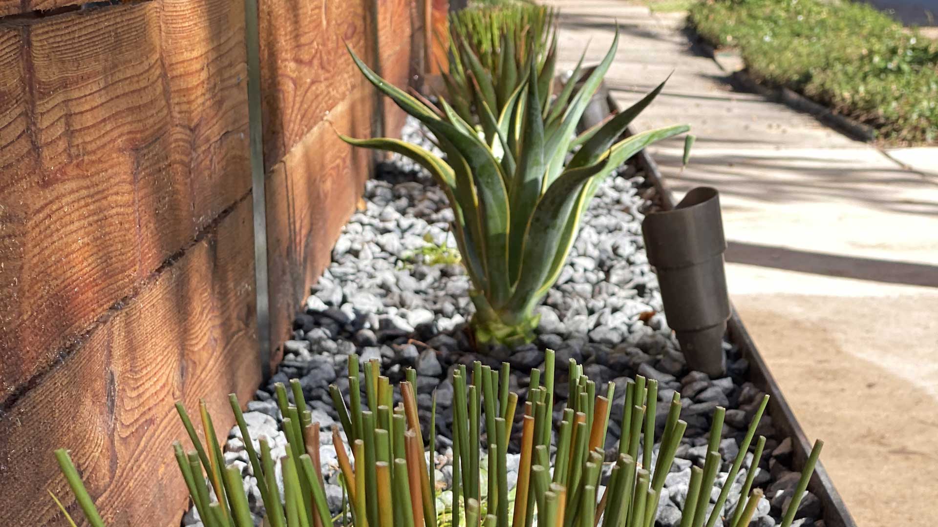 Houston Montrose Landscaping