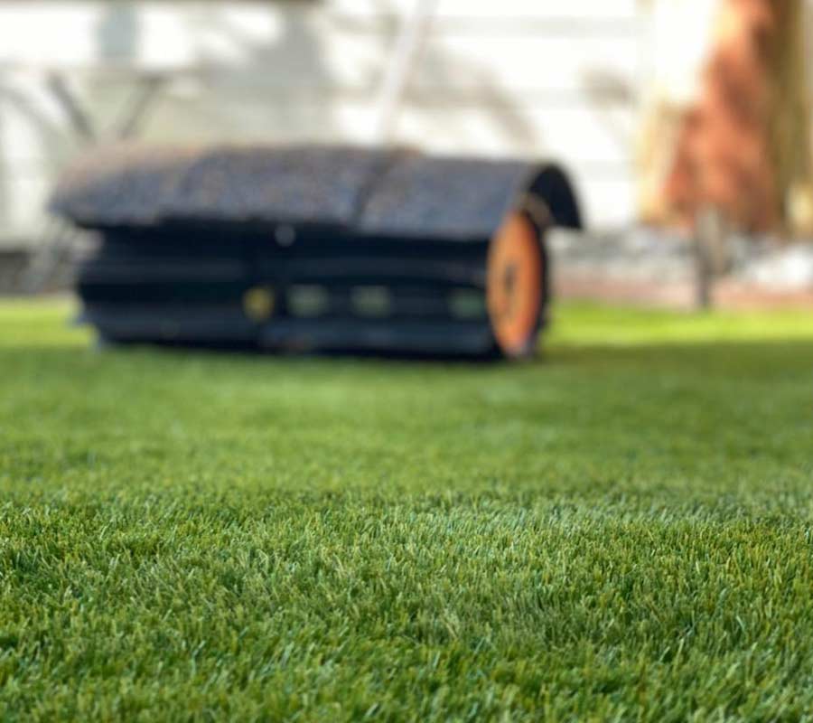 Lawn Maintenance in Houston