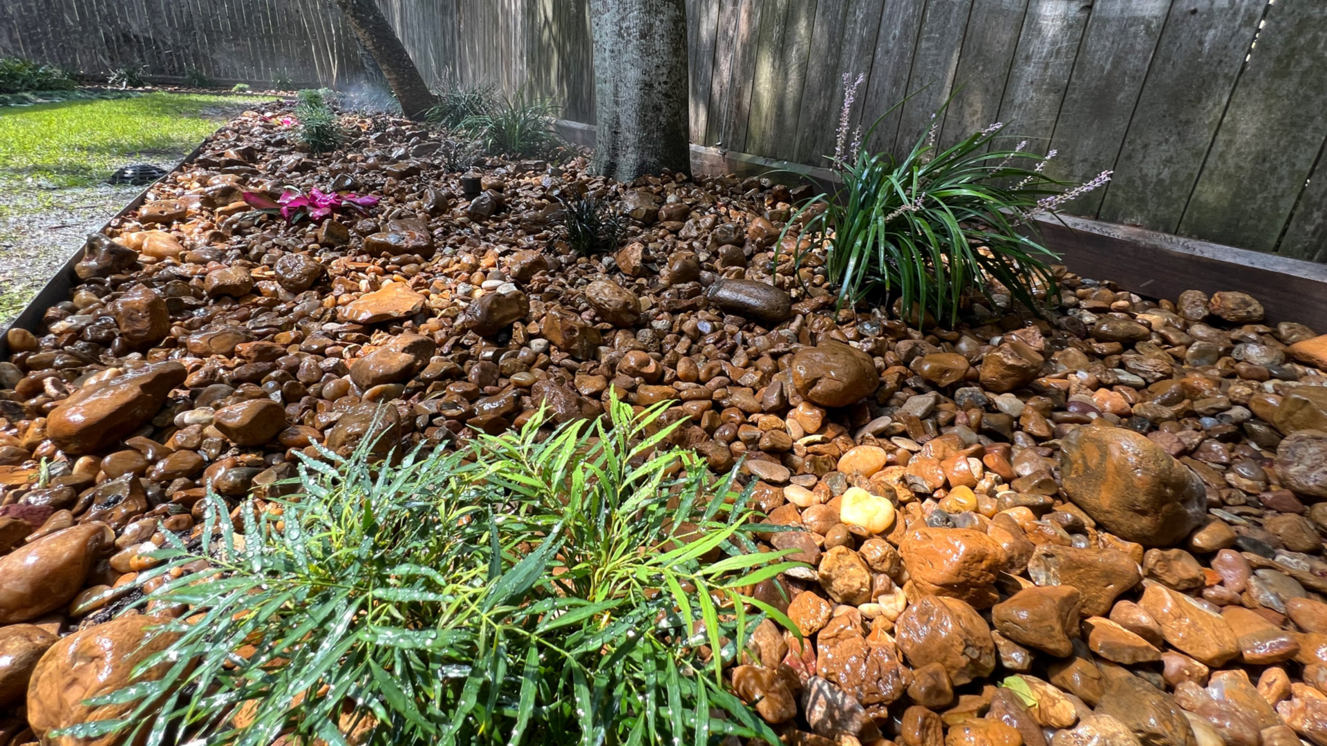 Houston Rice Rock Garden Landscape Design