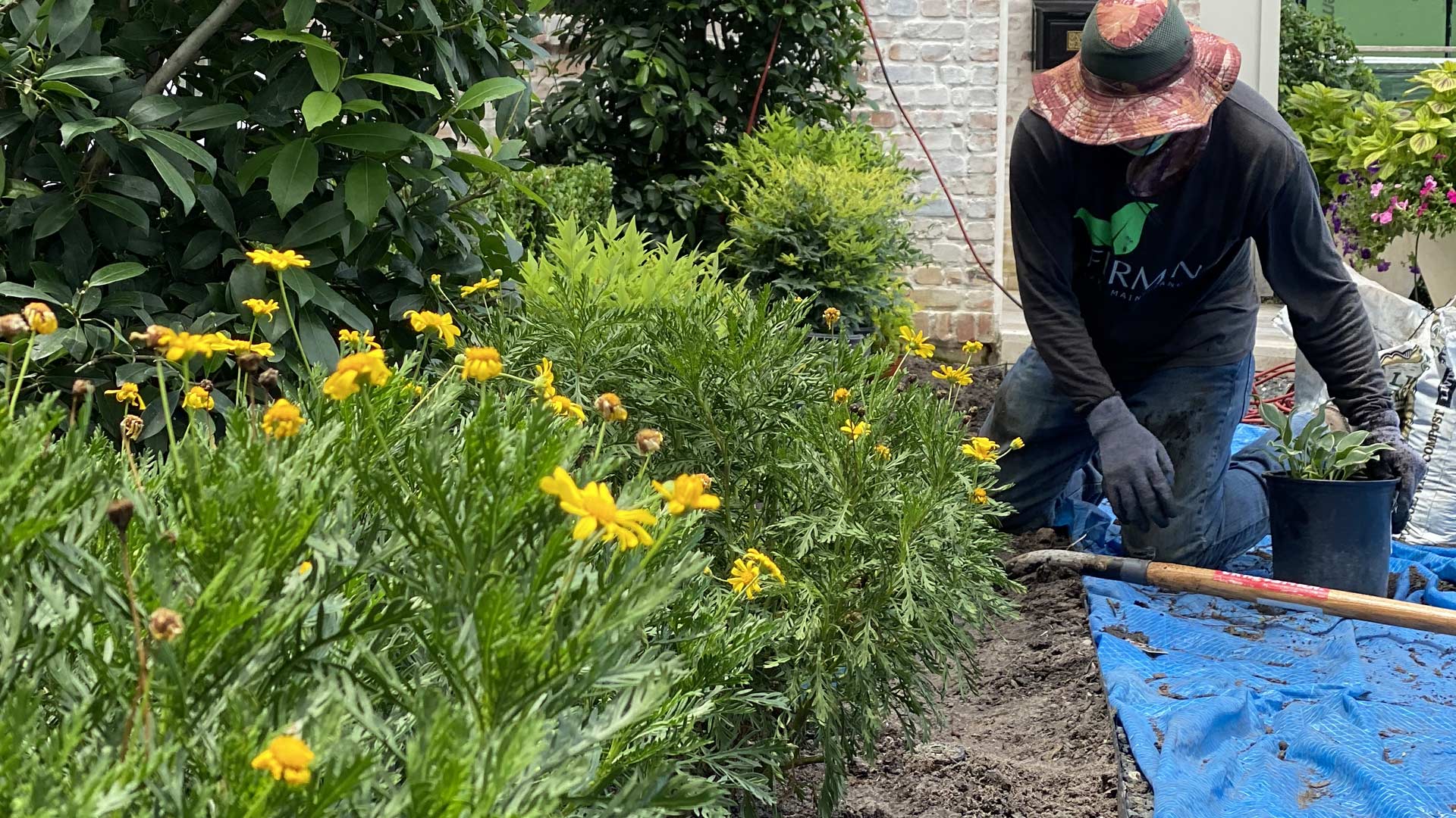 Houston River Oaks Landscape Design