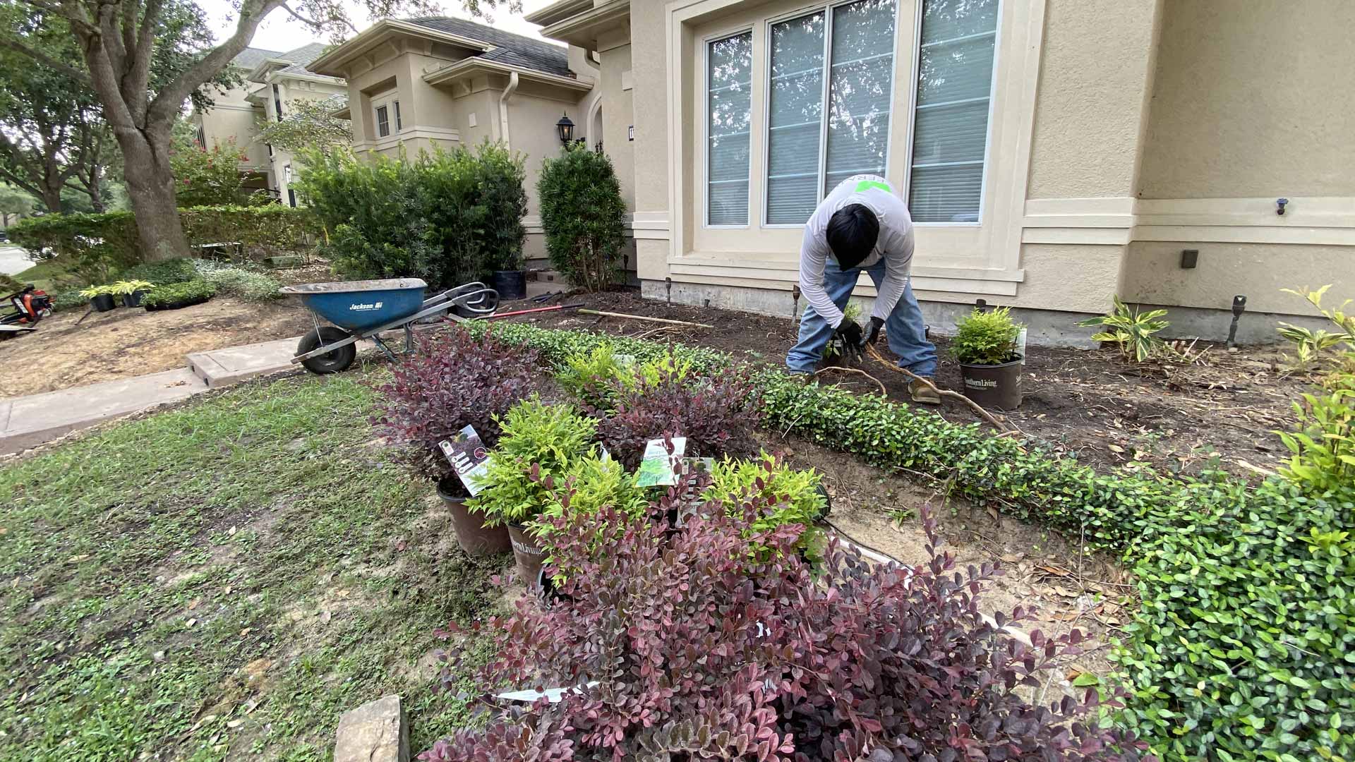 Houston Downtown Landscape Design