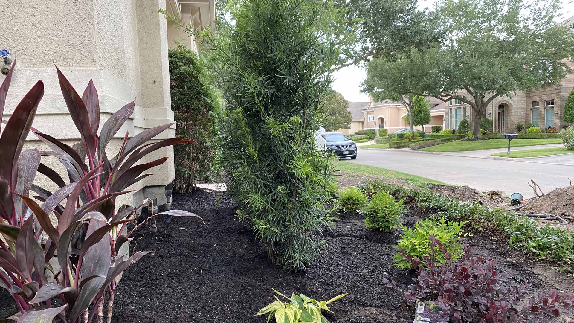 Houston Downtown Landscape Design