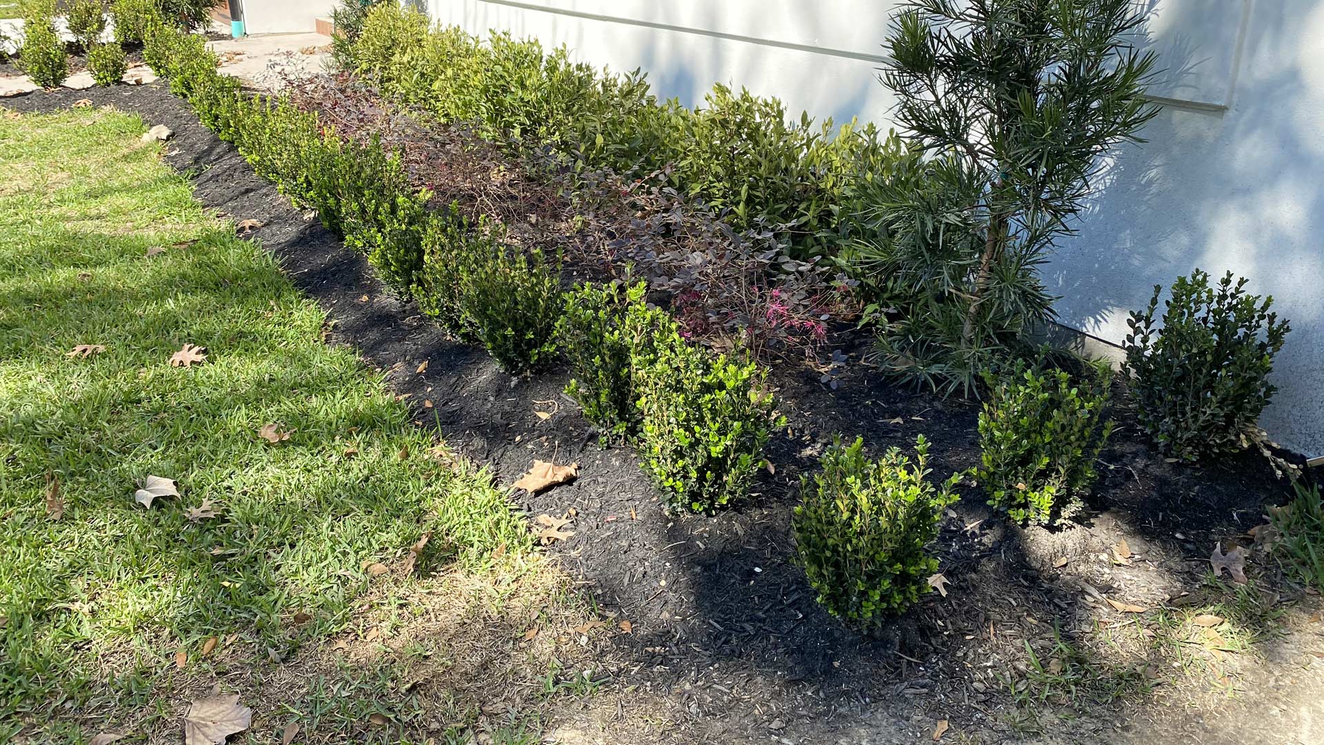 Steel landscape edging